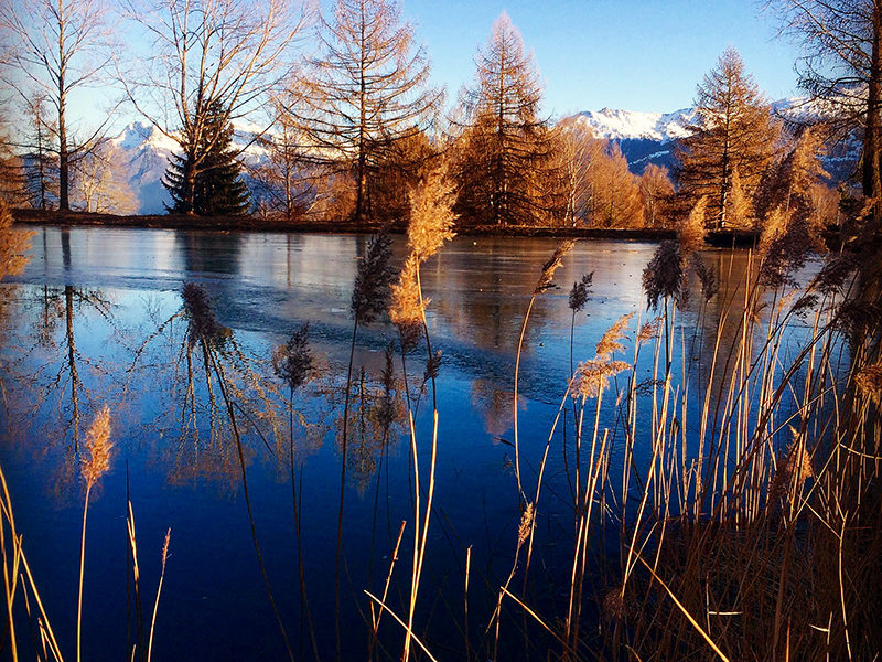 Arbaz - Etang Long - © Agnès Zenko