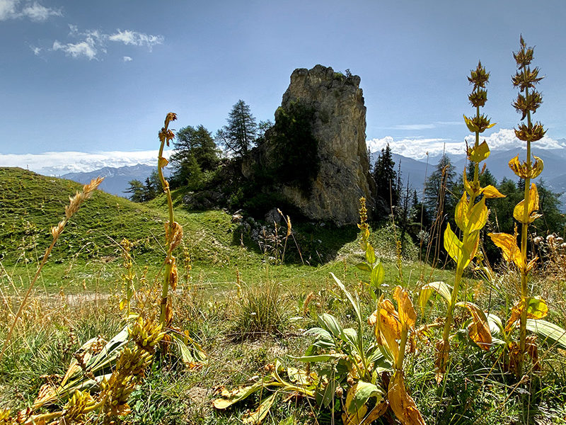 Anzère - © Agnès Zenko