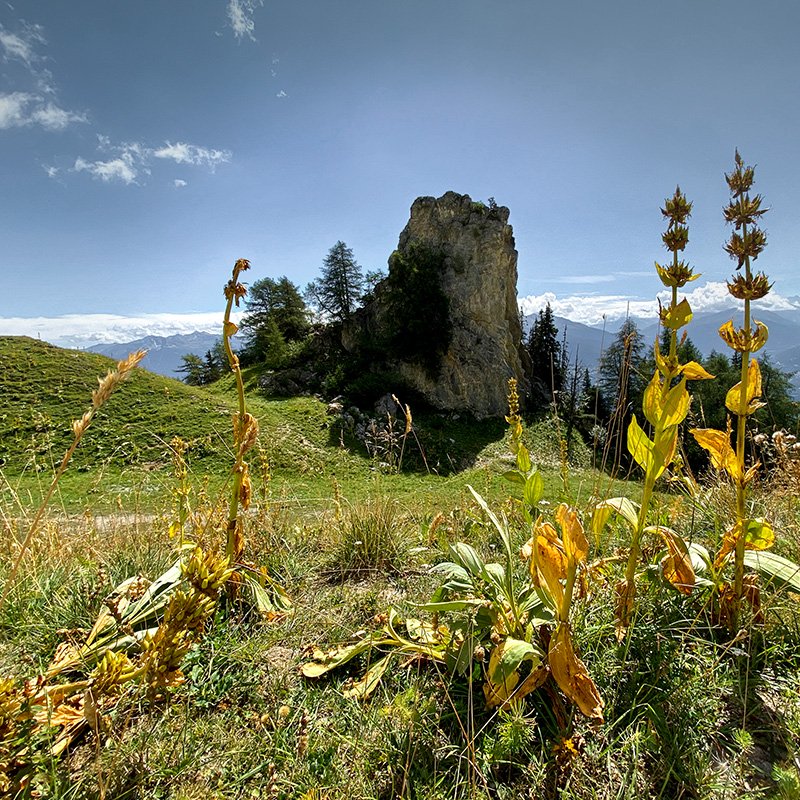 Anzère - © Agnès Zenko