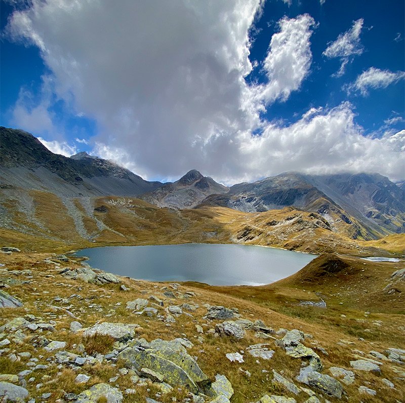 Grand St-Bernard - © Agnès Zenko