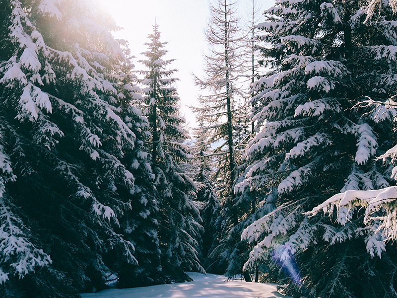 Val d'Hérens - © Agnès Zenko
