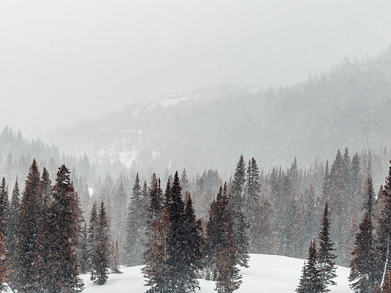 Région Mont Noble - © Agnès Zenko