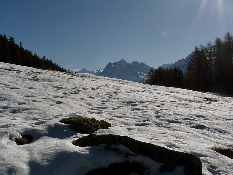 Région Mont Noble - © Agnès Zenko